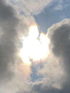 Client testimonials for Diana Borisuck