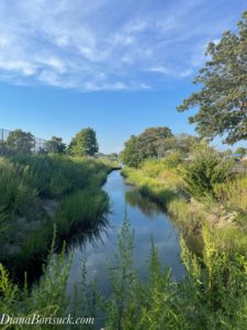 Picture taken at Wantagh Park in Wantagh, Long Island.