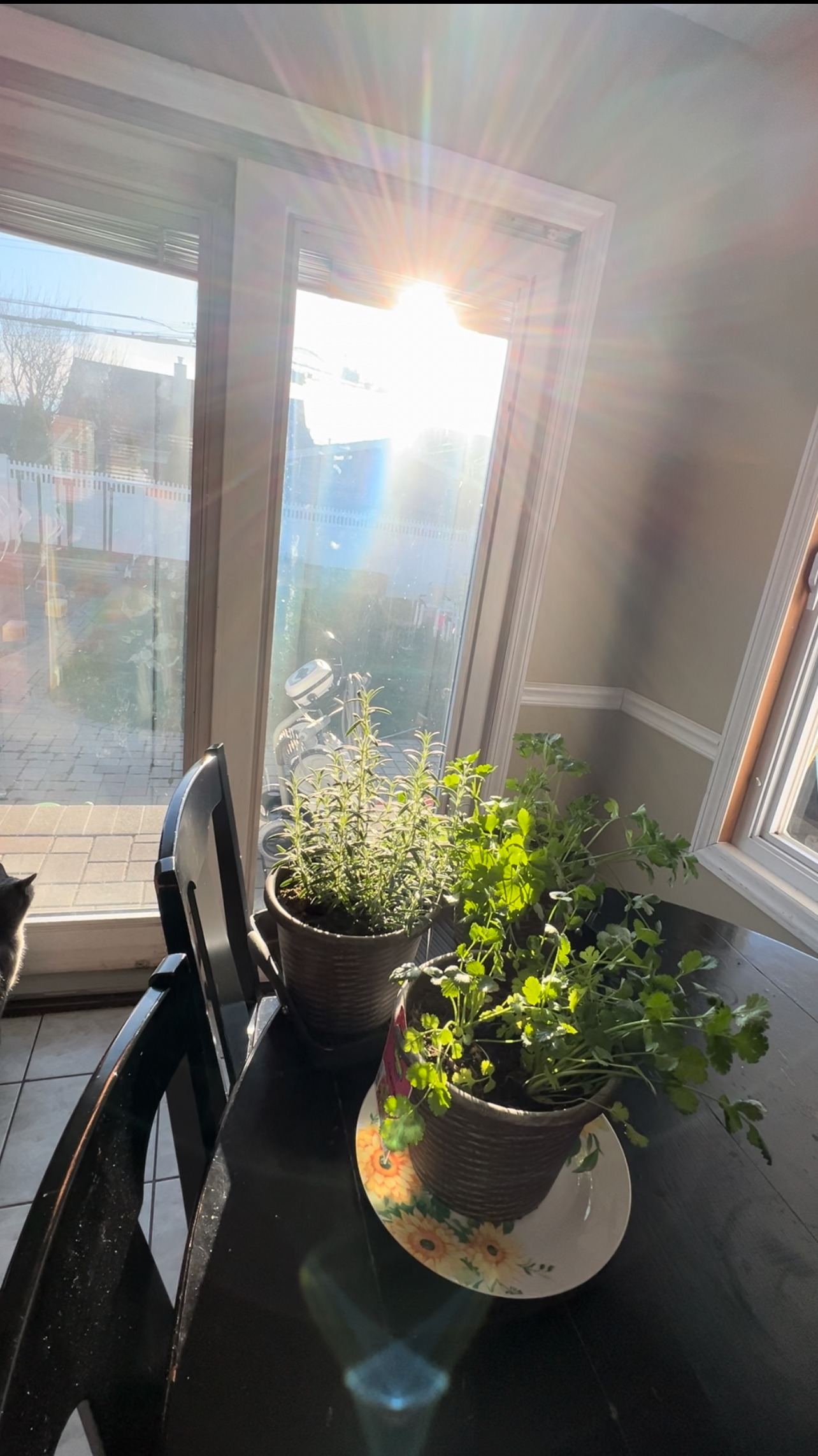 Life’s Beautiful Moments