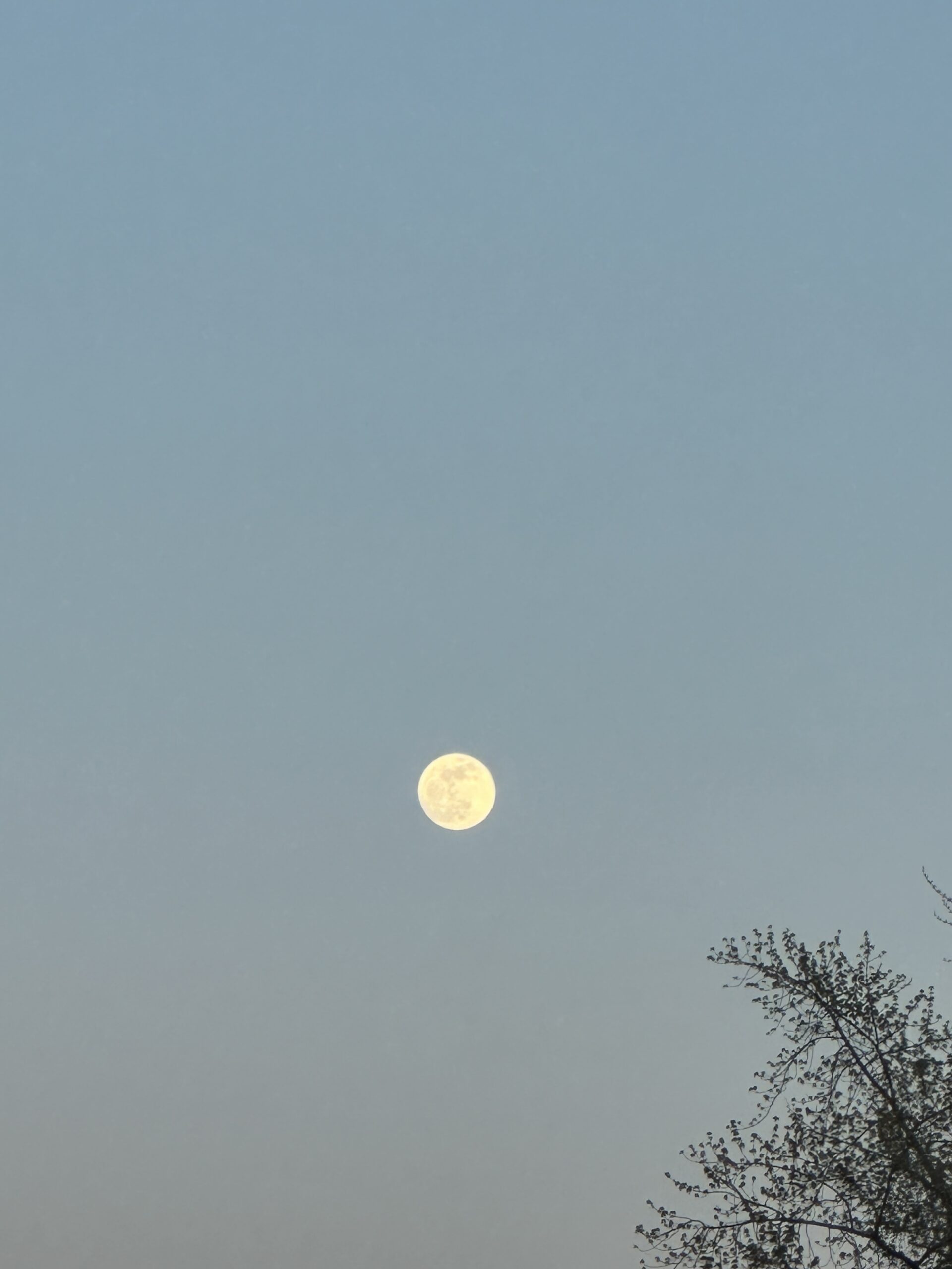 Our Moon Phase And 444