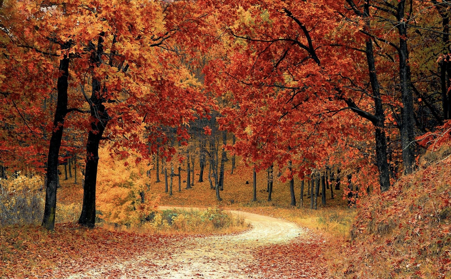 Autumn Is A Season Of Change.