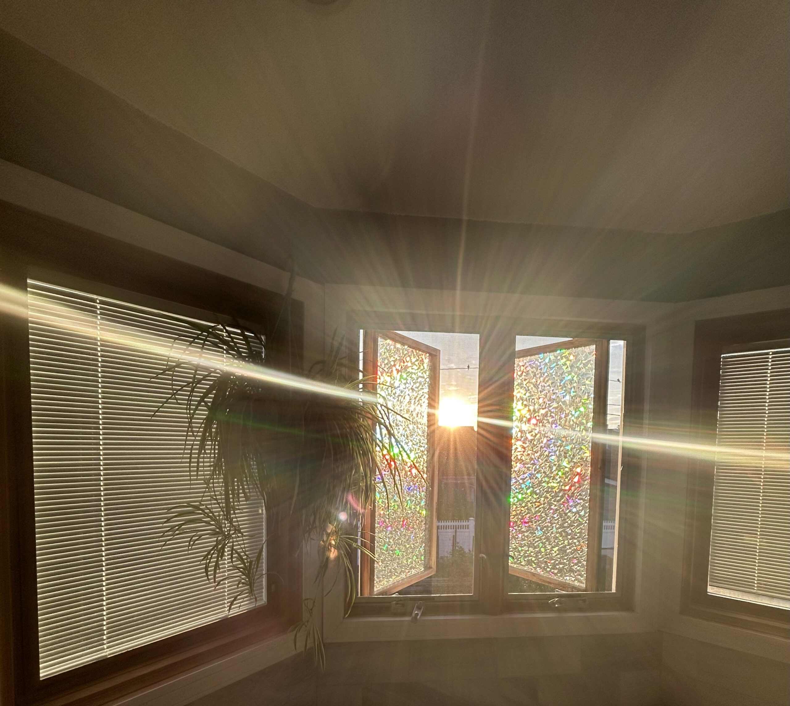 Dancing Through The Distractions