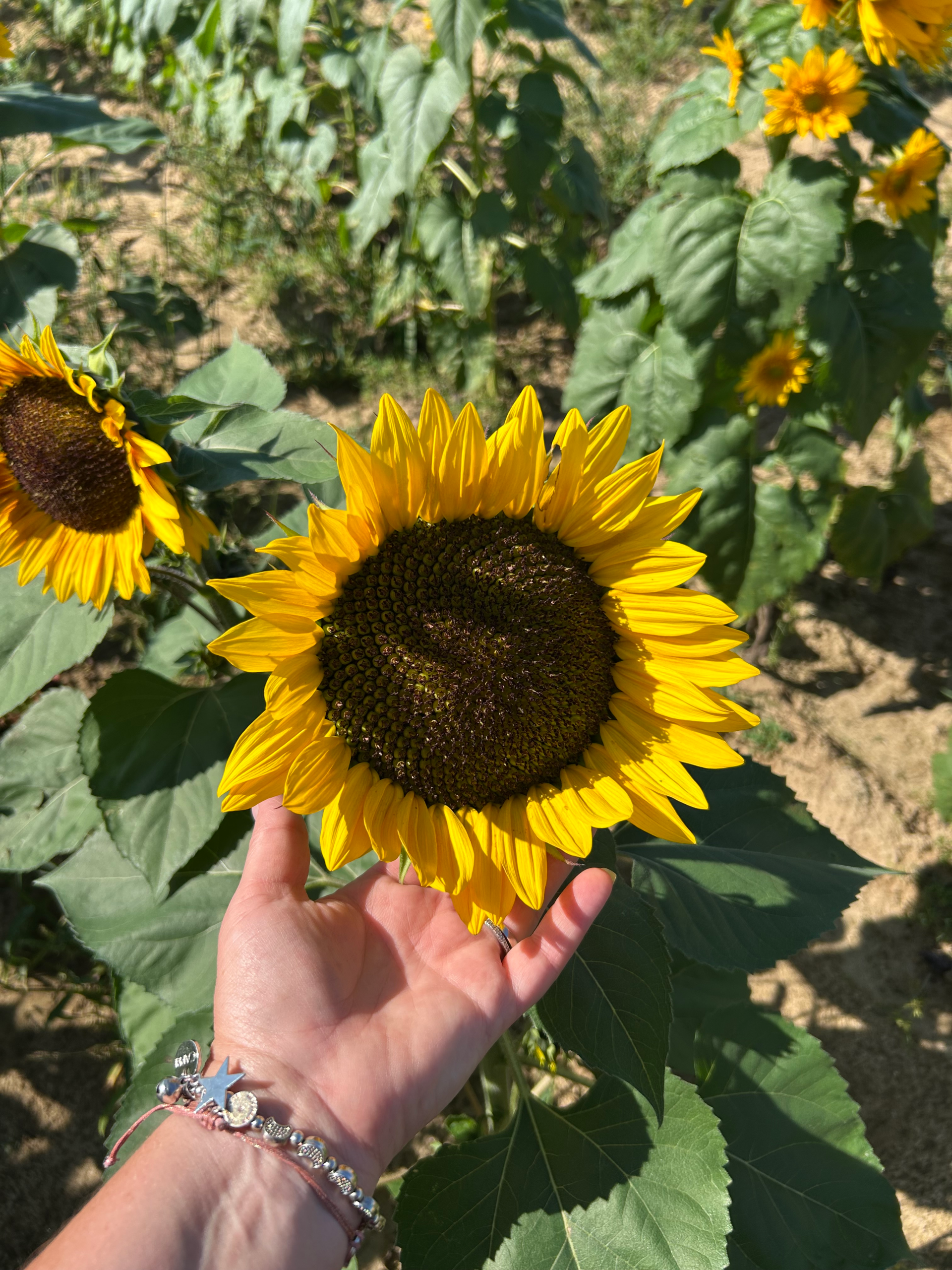 Letting Go Of What I Was