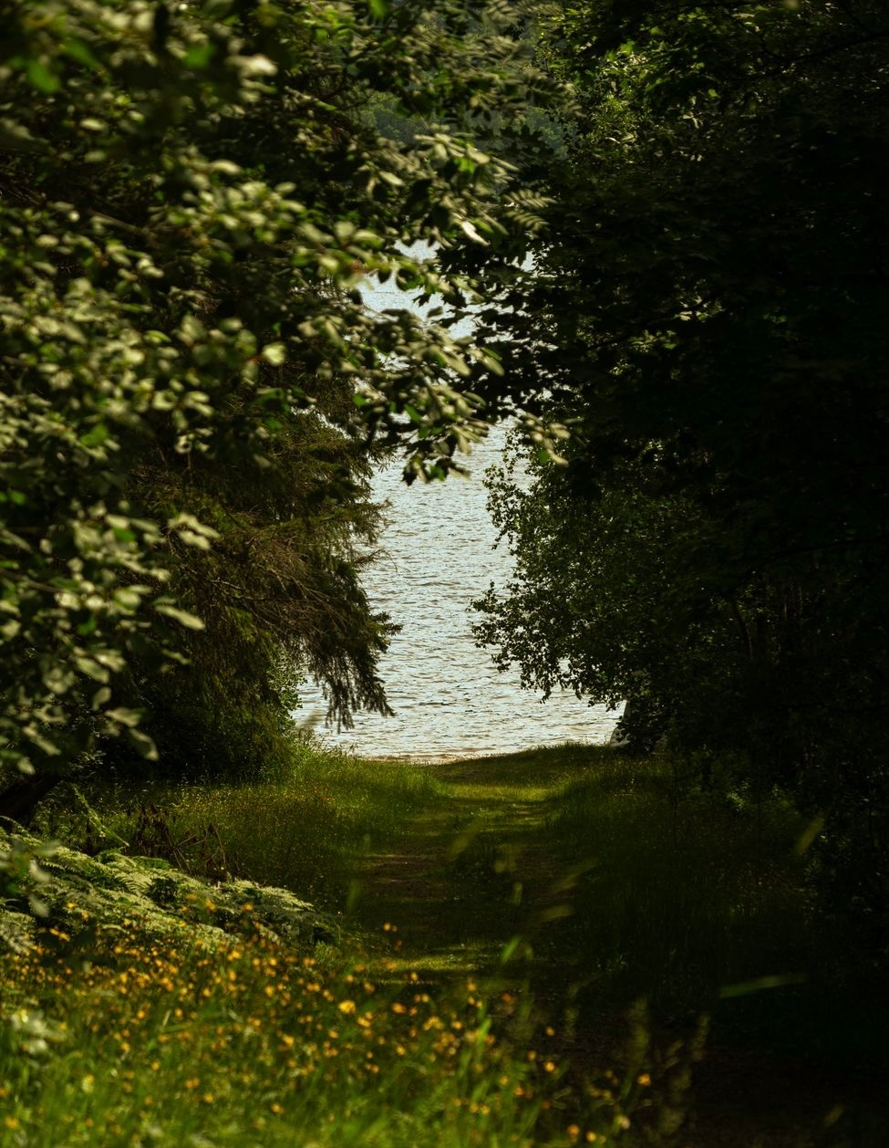 The Light That Followed (Part 1)