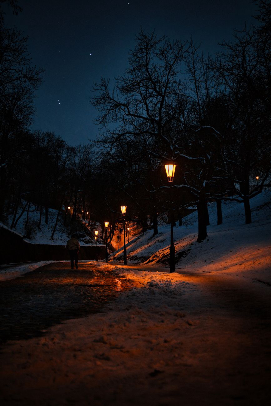 A Walk On A Cold Winters Night
